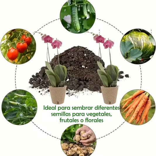 100 Macetero Biodegradable 8x8cm Orgánico Almácigo/cultivo