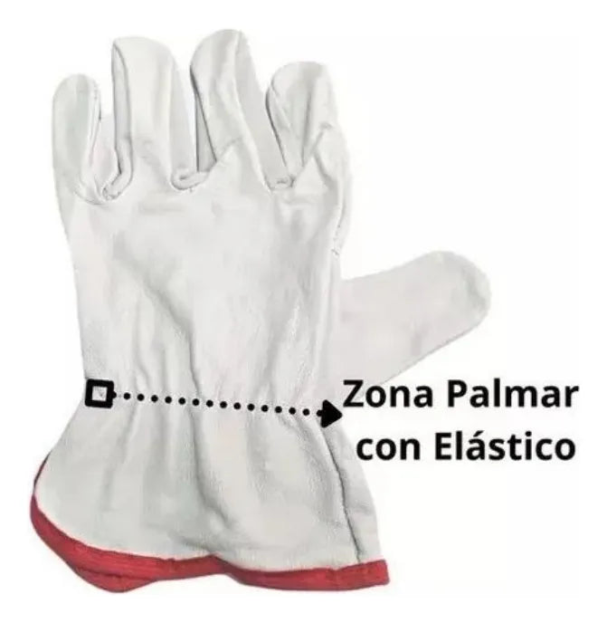 Guantes De Cabritilla Sin Forro Certificado Pack 10 Unidades Color Blanco