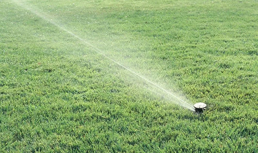 Aspersor Regador Rain Bird Maxi Paw 6a13mts Riego 1/2