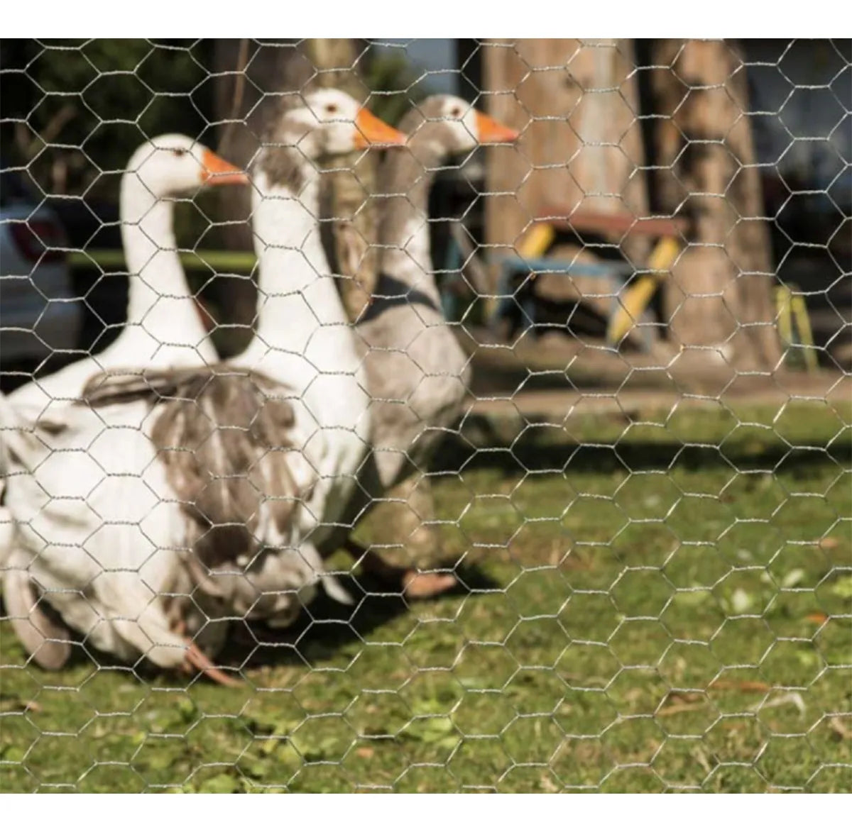 Malla Hexagonal Malla Gallinero Pollera Alambre 80cm X 50 Mt