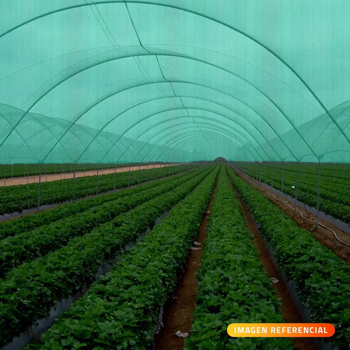 Malla Raschel 80% Sombra Ancho 4.2 Mts X 10 Mts Largo (42m2)